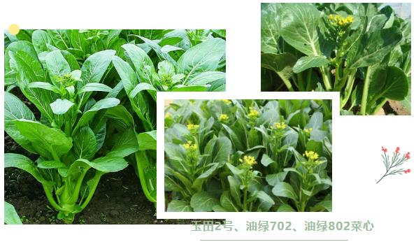 微信截图_20230724155957.jpg 微信截图_20230724155957.jpg