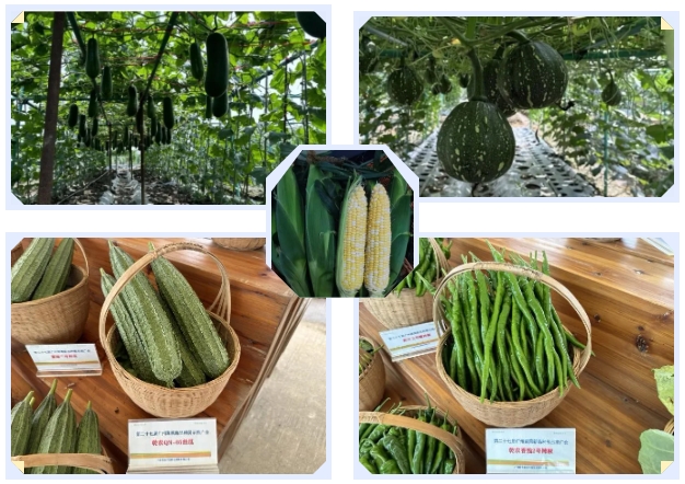 微信截图_20240604160331.jpg 微信截图_20240604160331.jpg