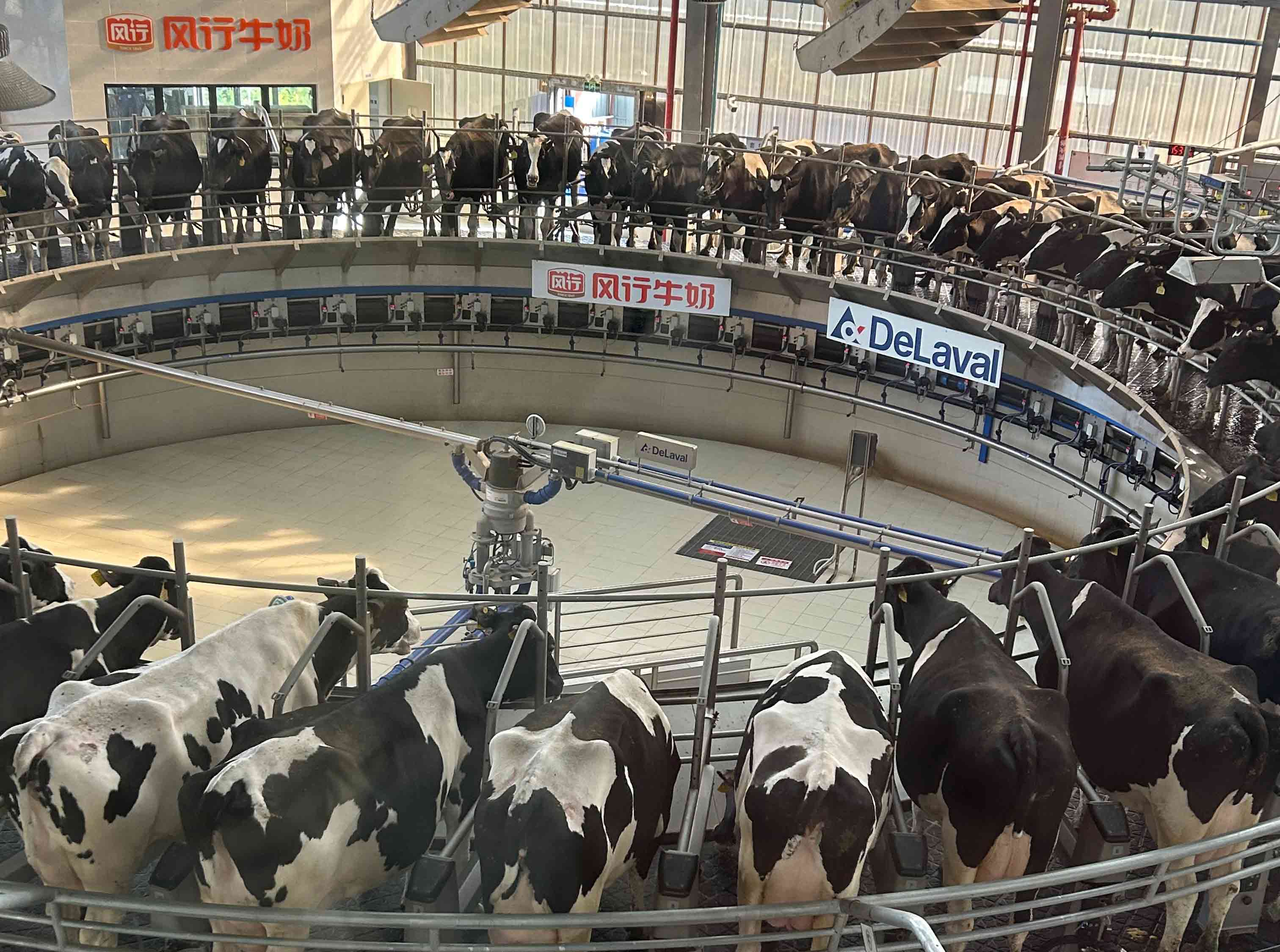 02e1cb3a191bc4aca2ff5919294942da.jpg 02e1cb3a191bc4aca2ff5919294942da.jpg