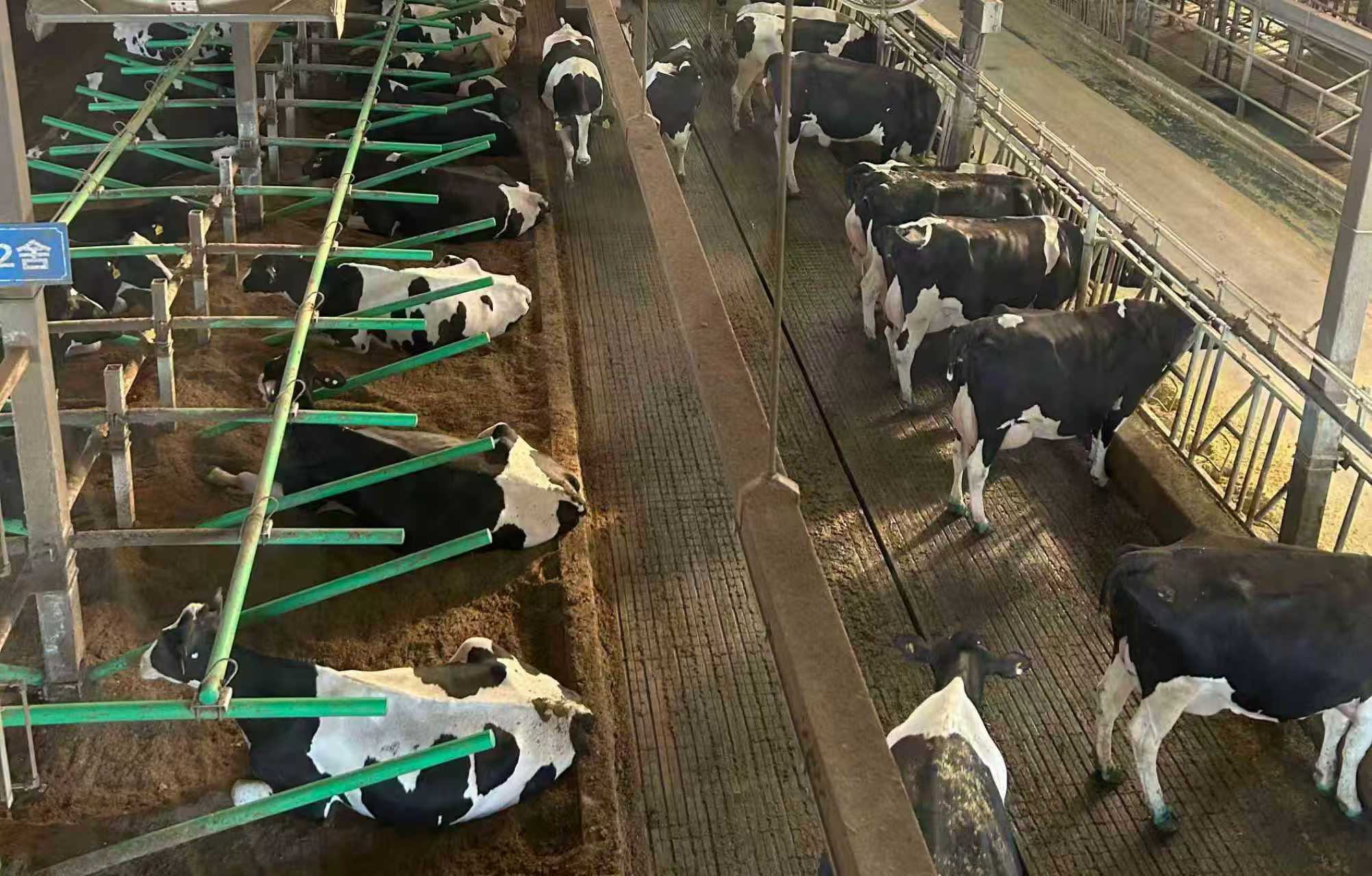 微信图片_20251203085151_2908_35.jpg 微信图片_20251203085151_2908_35.jpg