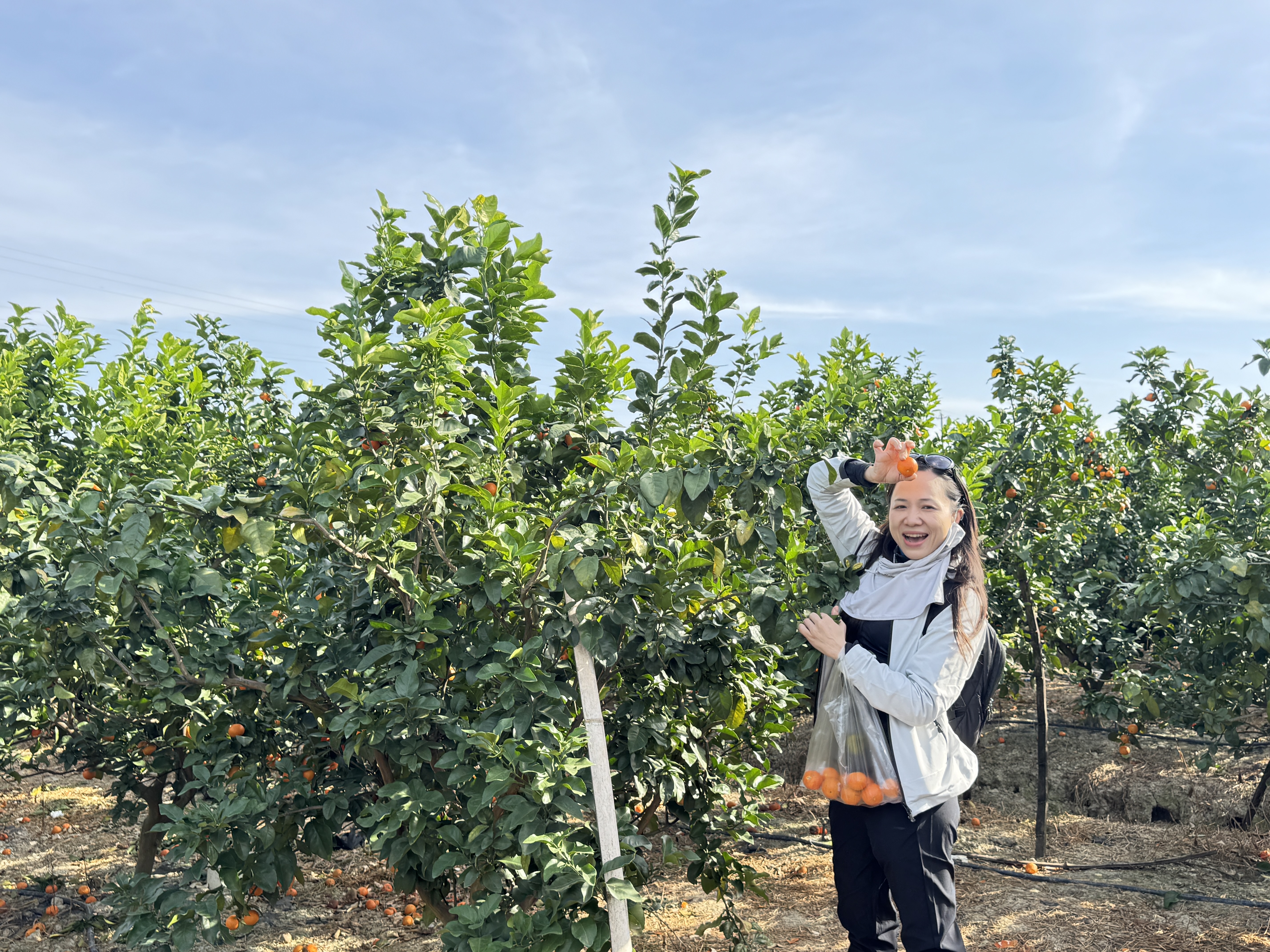 微信图片_2025-12-01_095913_770.jpg 微信图片_2025-12-01_095913_770.jpg